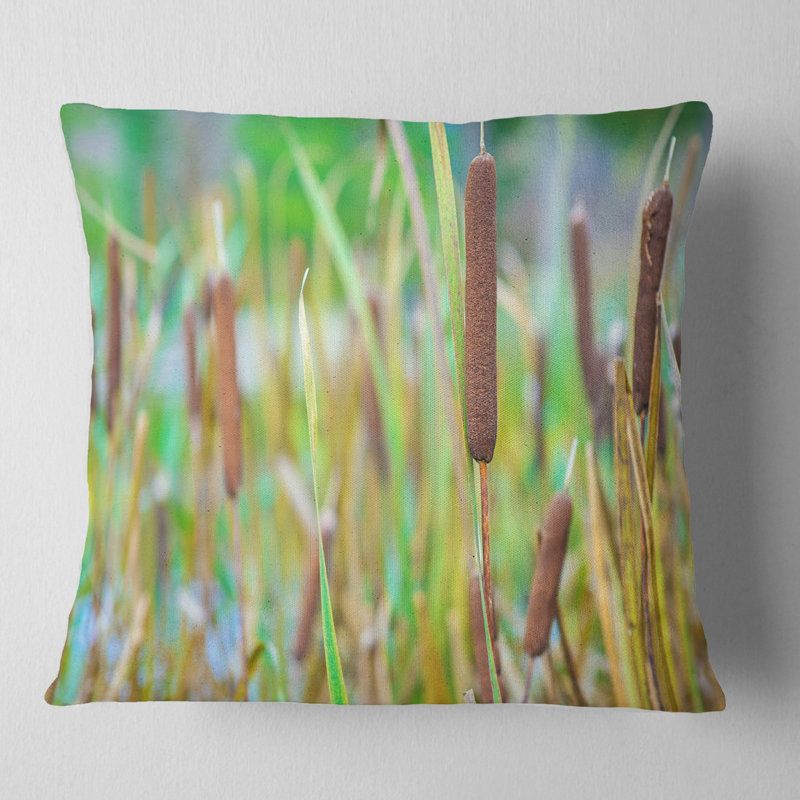 Housse et insert de coussin Schafer, 18 po x 18 po, Coussin décoratif