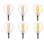 Filament 5 5000 Bulb