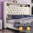Mansuur Upholstered Platform Storage Bed-1023355784-1023355789