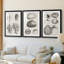 Charbon et coquilles de lin VII-530802097-530802099