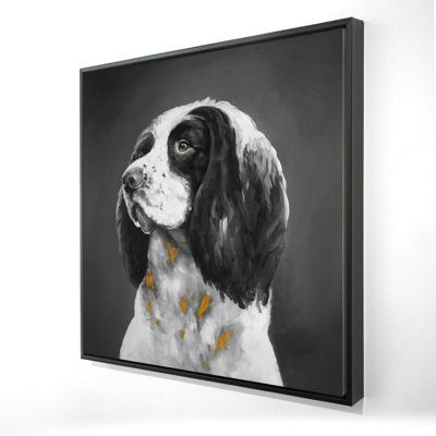 «English Springer Spaniel Dog»
