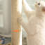 88cm H Cat Tree