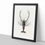 Crimson Crawfish Illustration by Charles D Orbigny - Framed Print-55490536-55490537