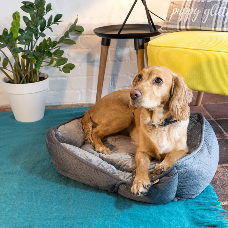 Geometric Pet Bolster Cushion in Dark Grey, Large