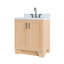 ARIEL TAYLOR 31 IN RECTANGLE SINK VANITY-2139050998-2140903935