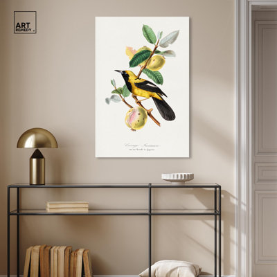 Reproduction d'art sur toile, Jacamar, 1842 par Gervais