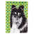 Black and White Collie