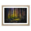 Forest Dreams - Picture Frame Graphic Art Print-56712915-56712914