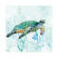 Sea Turtle Swim I by Carol Robinson - No Frame Print on Canvas-32981697-56677061