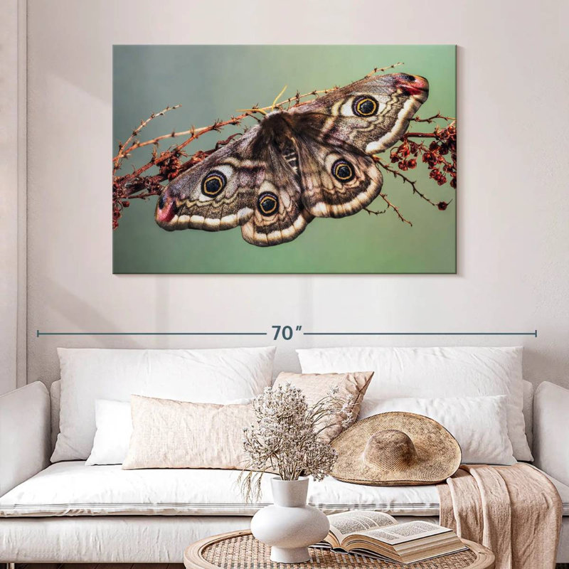 Crowle Emperor Moth, 32" H x 48" W