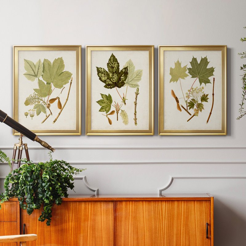 «Antique Leaves IV», ensemble de 3 impressions sur toile encadrées, Doré, H 18,5 po x l 73,5 po x P 1,5 po