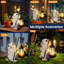 Animals Resin Garden Statue-102507748
