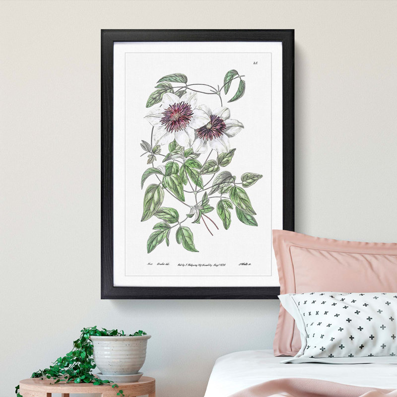 White Leather Clematis Flower - Picture Frame Art Prints, Black Framed, 36cm H x 27cm W x 2cm D