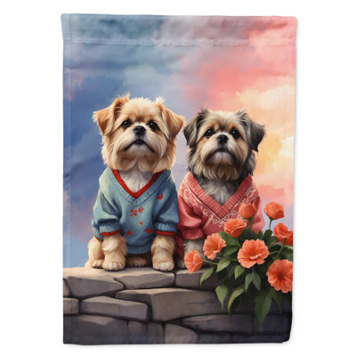 Double Sided 40'' H x 28'' W Polyester Valentine's Day House Flag