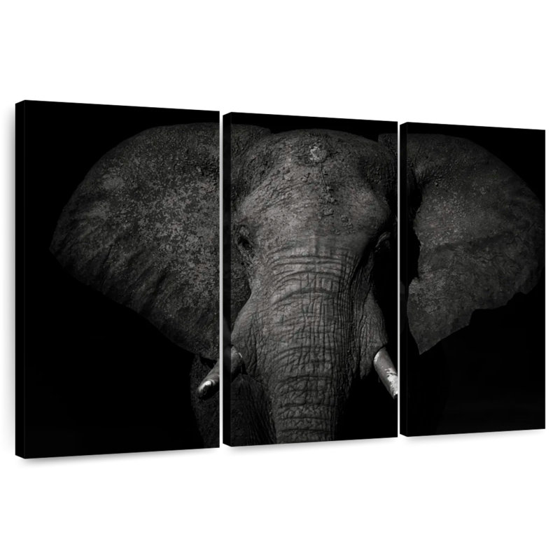 Monochrome Elephant, 20" H x 33" W