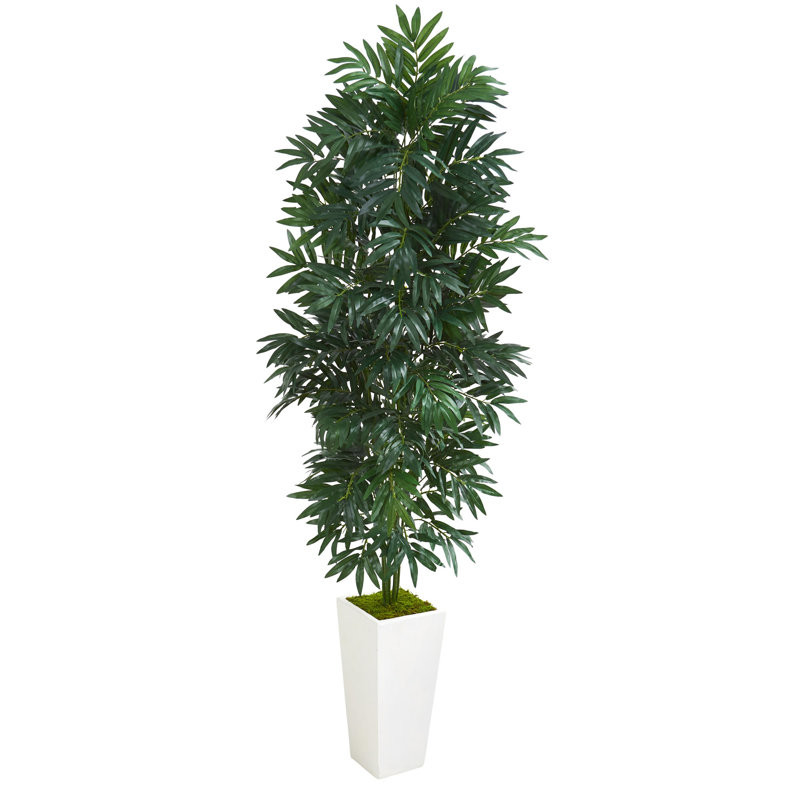 Palmier de plancher en bambou dans un pot de fleurs