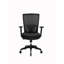 Cassity Swivel Task Chair-381812313