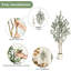 152cm Plant