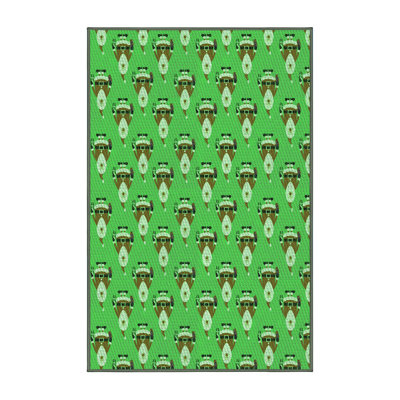 Indoor Rug