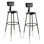 Backed Adjustable Height Ergonomic Lab Stool