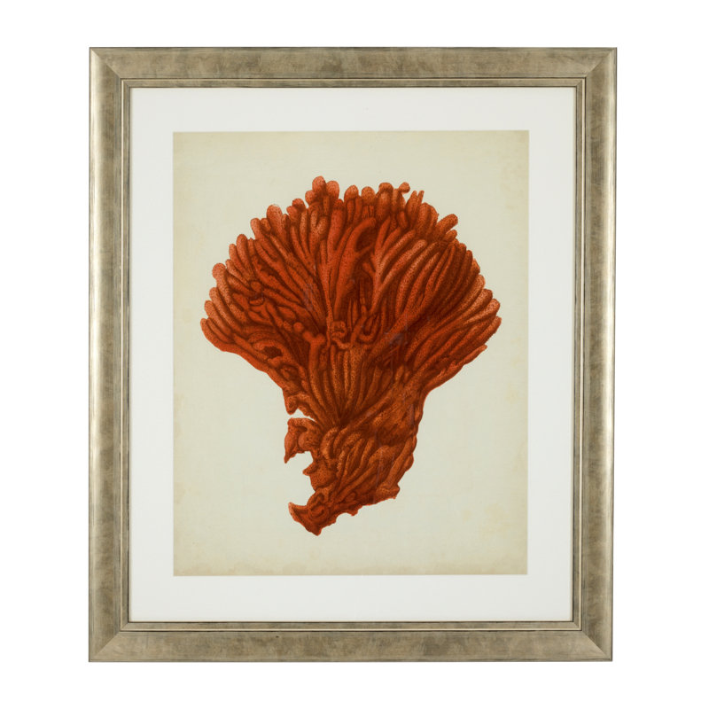 Antique Corals Print