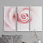 « rose excellence », impression multi-pièces sur toile-758933835