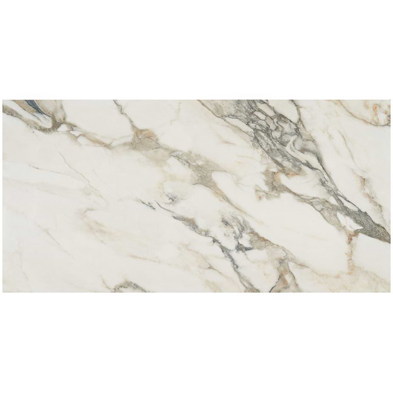 Dreamstone 24X48 Polished Porcelain Tile, Calacatta Rustico Polished
