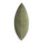 Gemma Velvet Square Pillow Cover & Insert-1449185793