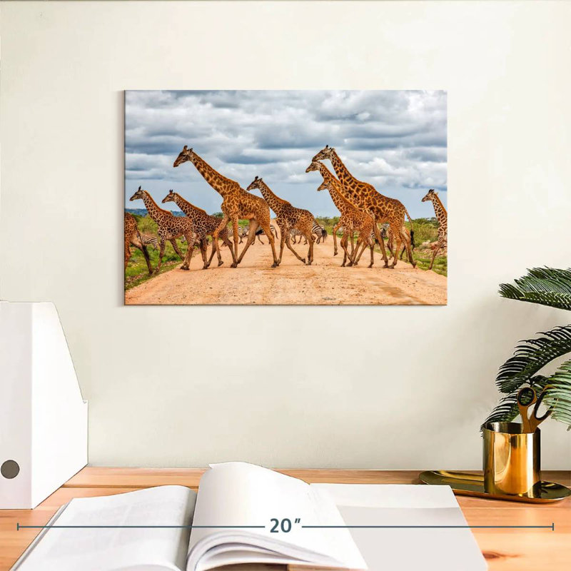 Courir avec des girafes et des zèbres, H 8 po x l 12 po