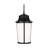 Portola Extra Large Arm Lantern from Generation Lighting -1269922370-1269922371
