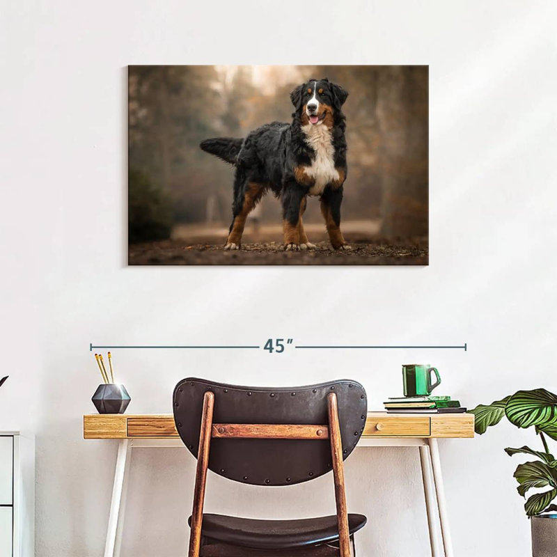 Brampt Bernese Mountain Dog, 24" H x 36" W