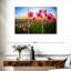 Alvord Cosmos Flower Valley-108173383