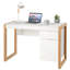 Nevaeh Metal Base Writing Desk