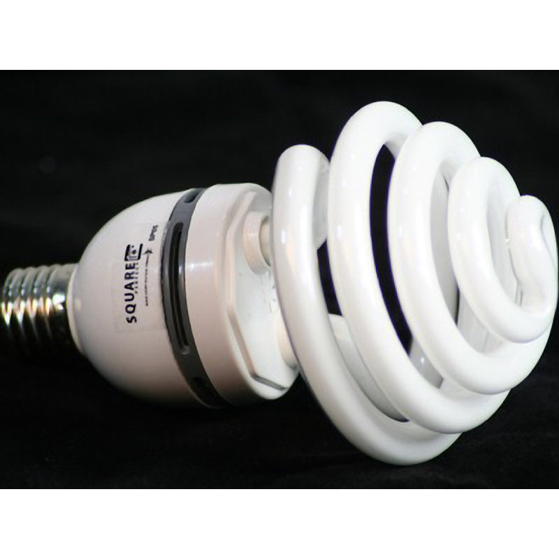 Ampoule fluorescente compacte intégrée (5500k)