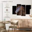 Dark Brown Horse-108899144
