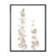 Branches d'eucalyptus beige sur fond blanc - reproduction de cadre flottant sur toile-59639224-59639232