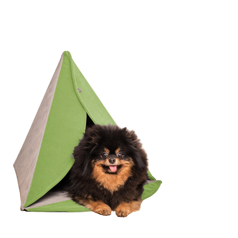 Orthopedic Microfibre Tent Pet Bed, Green