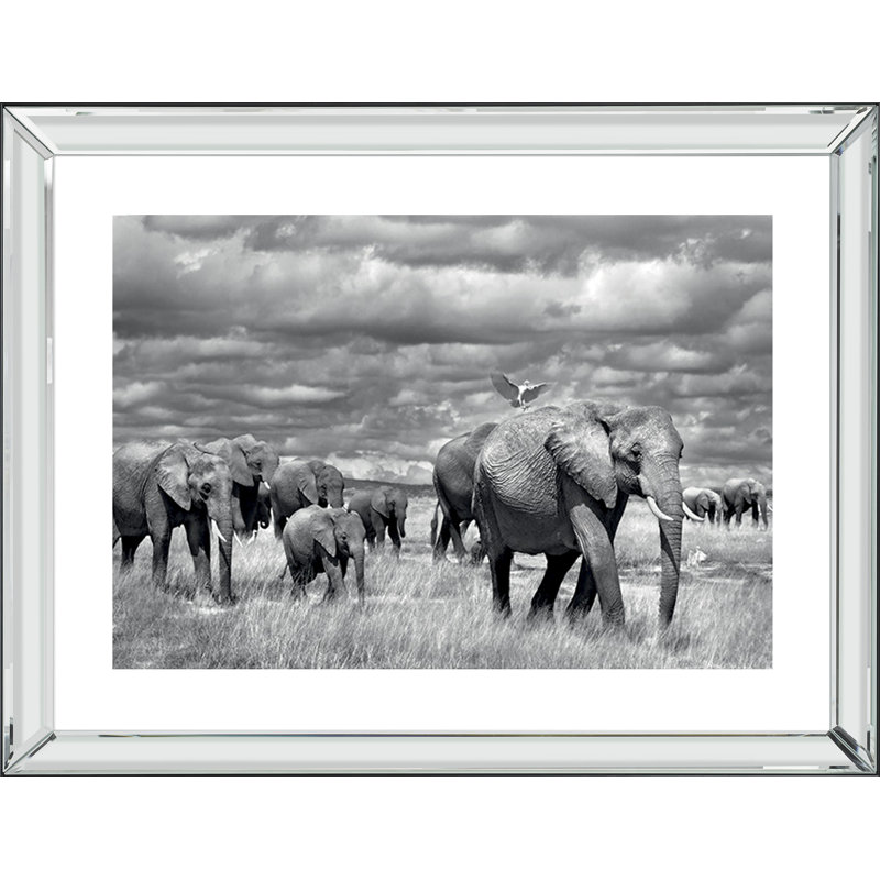Single Picture Frame Print