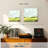 Alvord Open Fields I