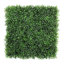 Panneaux muraux de haie artificielle 20 po x 20 po Premium Greenwood