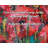 Brayden Studio® Gallery Wrapped Canvas By Kalynn Applewhite: "Isn’t it a little early to be waking the