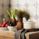 Kings Field 17-3/4 In. X 17-3/4 In. Porcelain Floor And Wall Tile