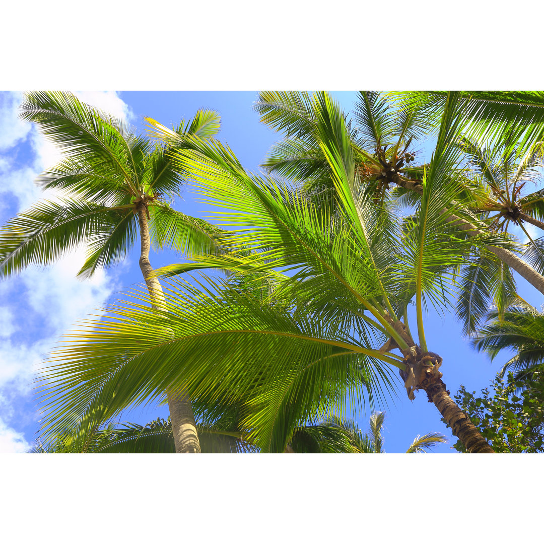 Tropical Paradise Relax von Agustavop - Leinwandbild