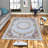 Stylish Woven Carpet, 4 x 6 Feet, 100% Polyester | Antibacterial, 3D Digital Printing, Non-Slip PVC Felt Dot Underside | Machine Washable, 0.4 in Pile Height, Perfect for Living Room & Bedroom Decor-127851738