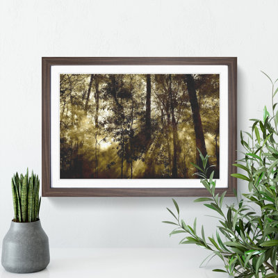 Sunlight Forest Vol.8 - Picture Frame Painting