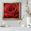 Solo Solo - photographie sur toile encadrée-96482044-96482039