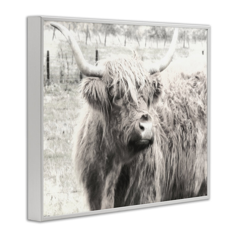 Highland Cow Gazing Portrait, estampe numérique encadrée par Graffi *ee Studios, H 16 po x l 20 po