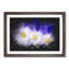 Three White Daisies Paint Splash - Picture Frame Graphic Art-62806421-62806431
