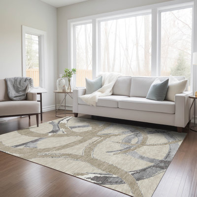  Machine Washable Indoor/Outdoor Chayden ACN1022 Beige Rug
