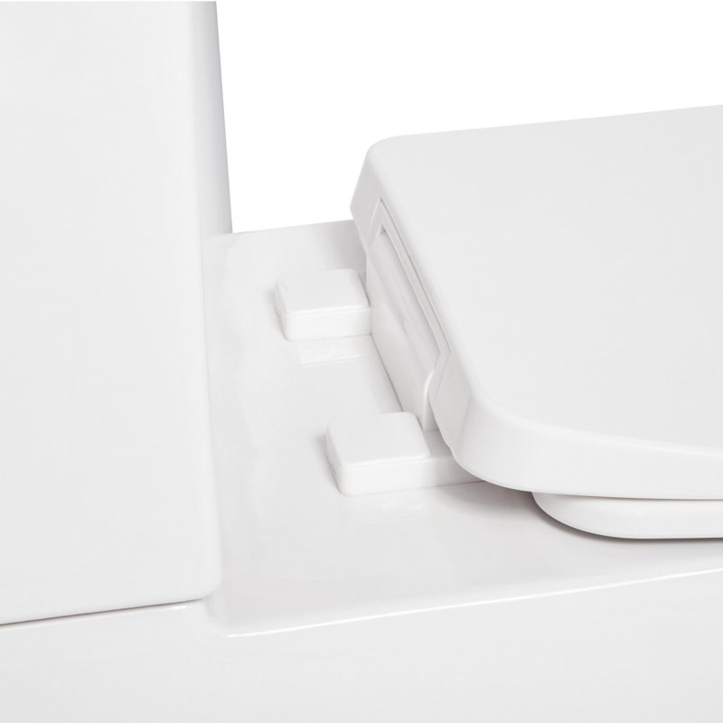 Carraway 1.28 GPF Two Piece Elongated Toilet, White/Polished Chrome